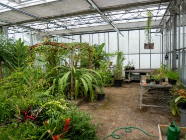 Lees meer over het artikel Aan het werk in de Botanische Tuinen?