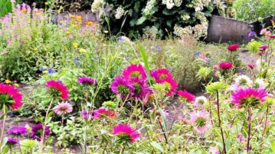 WIJ 3.0 Den Dolder druk bezig met vernieuwing van De Bloementuin