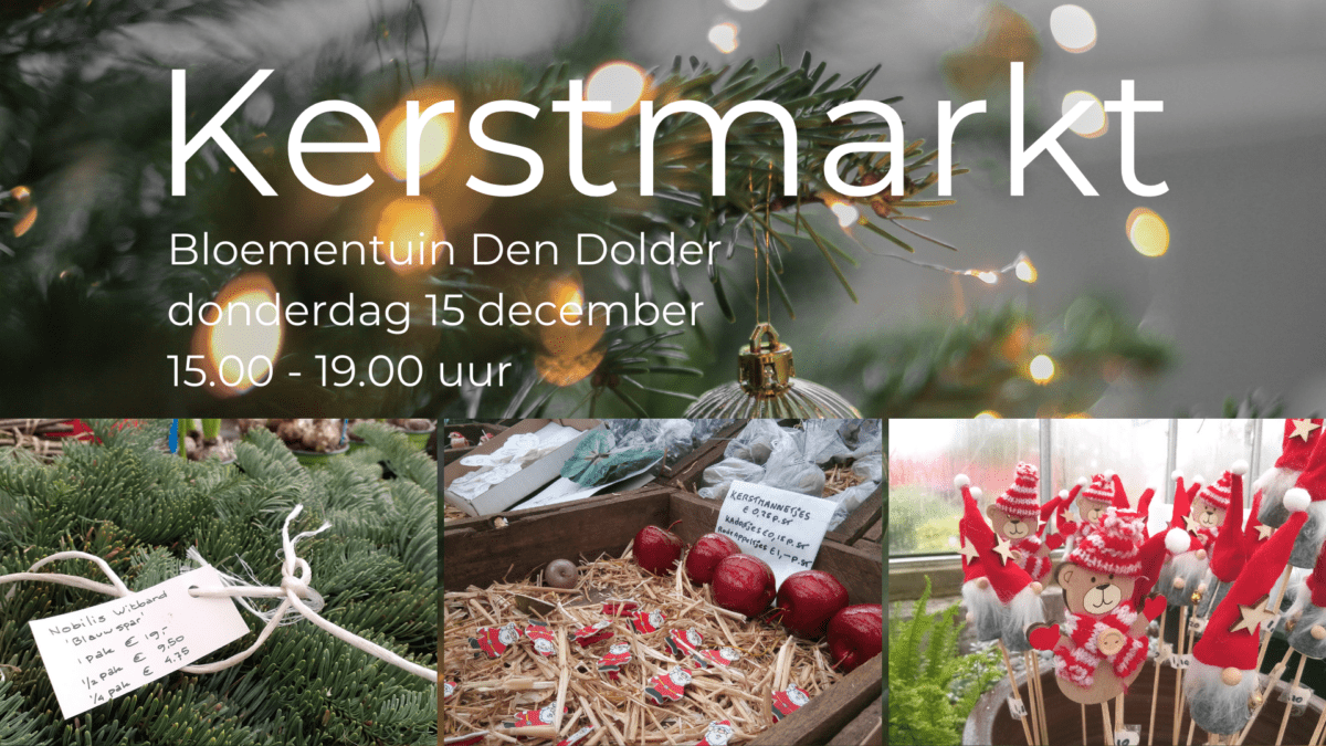 Je bekijkt nu Kerstmarkt in De Bloementuin Den Dolder donderdag 15 december